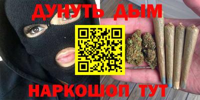 индика Заводоуковск