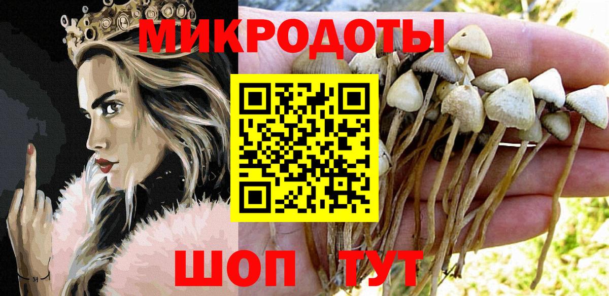 Галлюциногенные грибы GOLDEN TEACHER Менделеевск