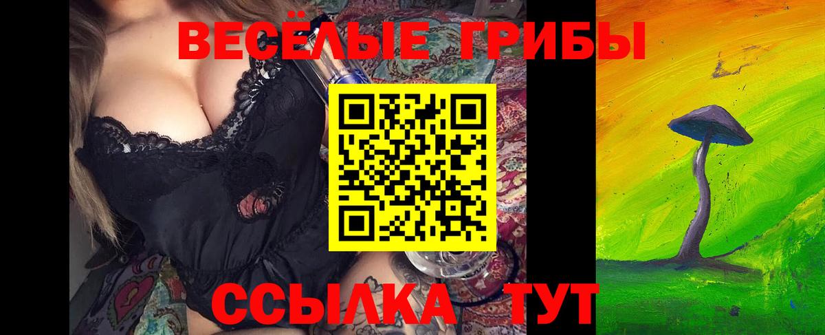 Менделеевск  Псилоцибиновые грибы Psilocybine cubensis  Вход с VPN  Псилоцибиновые грибы мухоморы 